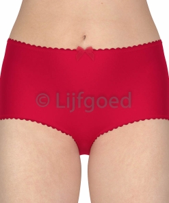 Lingerie Naaipatroon Basis Slip huidtint 1