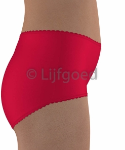 Lingerie Slip naaipatroon basis slip huidtint 3