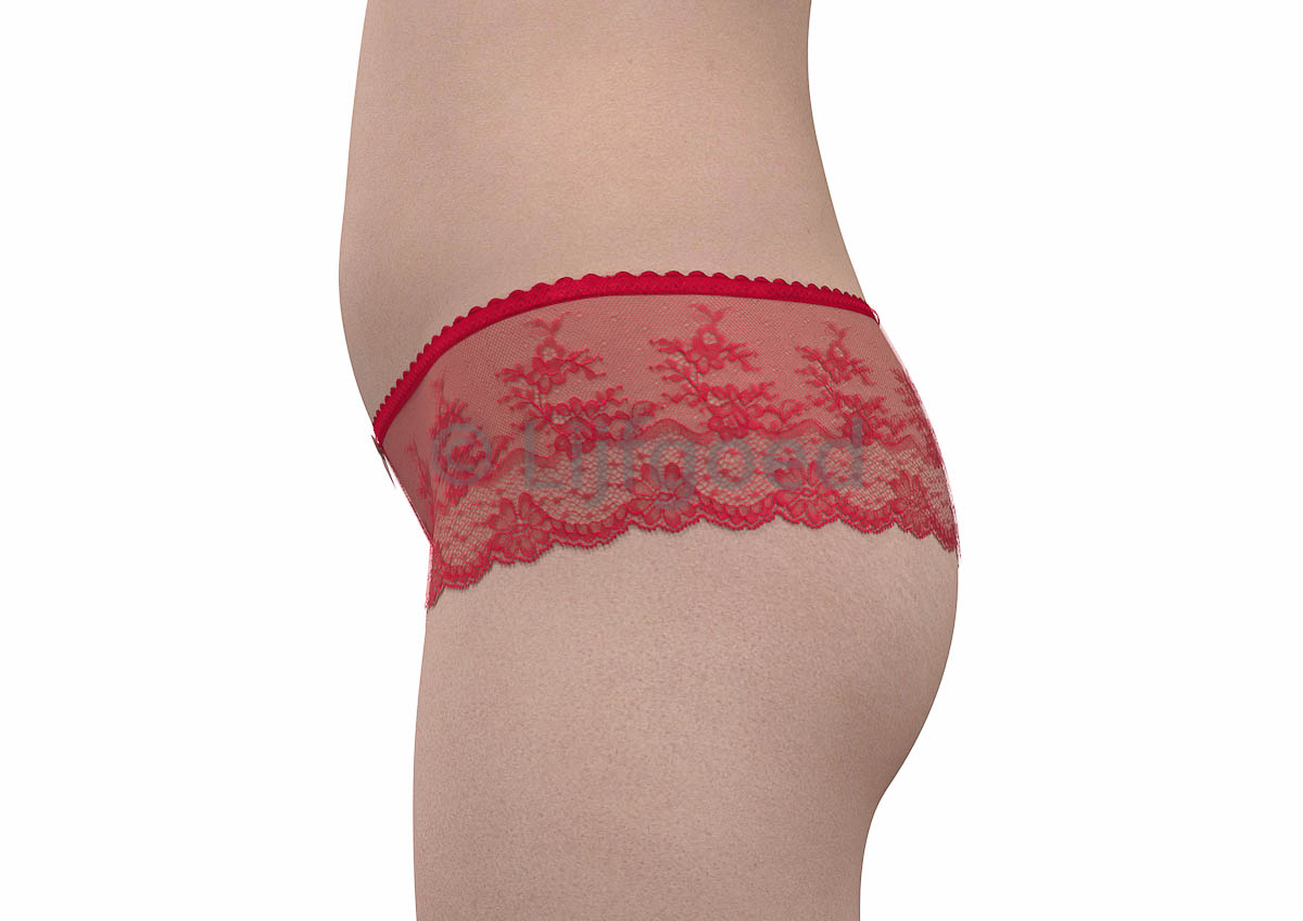 Lingerie Slip naaipatroon hipster Femke huidtint 2