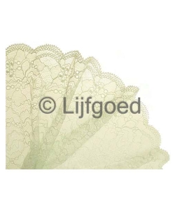 kant mint 20cm bloemen